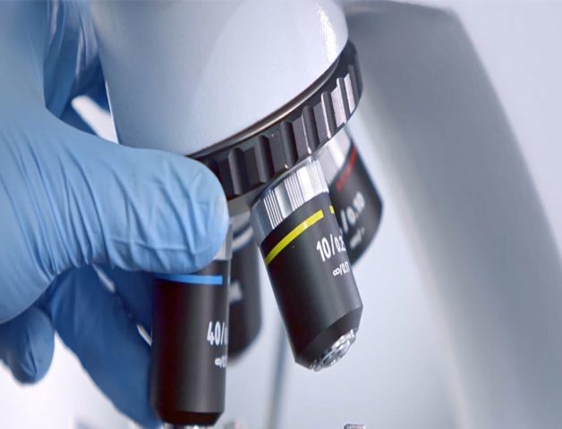 توانایی R&D برتر